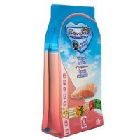 12kg Renske Droog Adult Verse Zalm Graanvrij (knalactie)